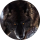 Typer kasvik