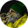 Typer djtonnietouch7