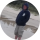 Typer Adam Dyzma