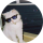 Typer rickotipster