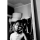 Typer Itz_Dxn
