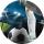 Typer ROI_FC